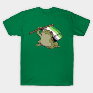 Aromantic Pride Flag-Holding Frog T-Shirt